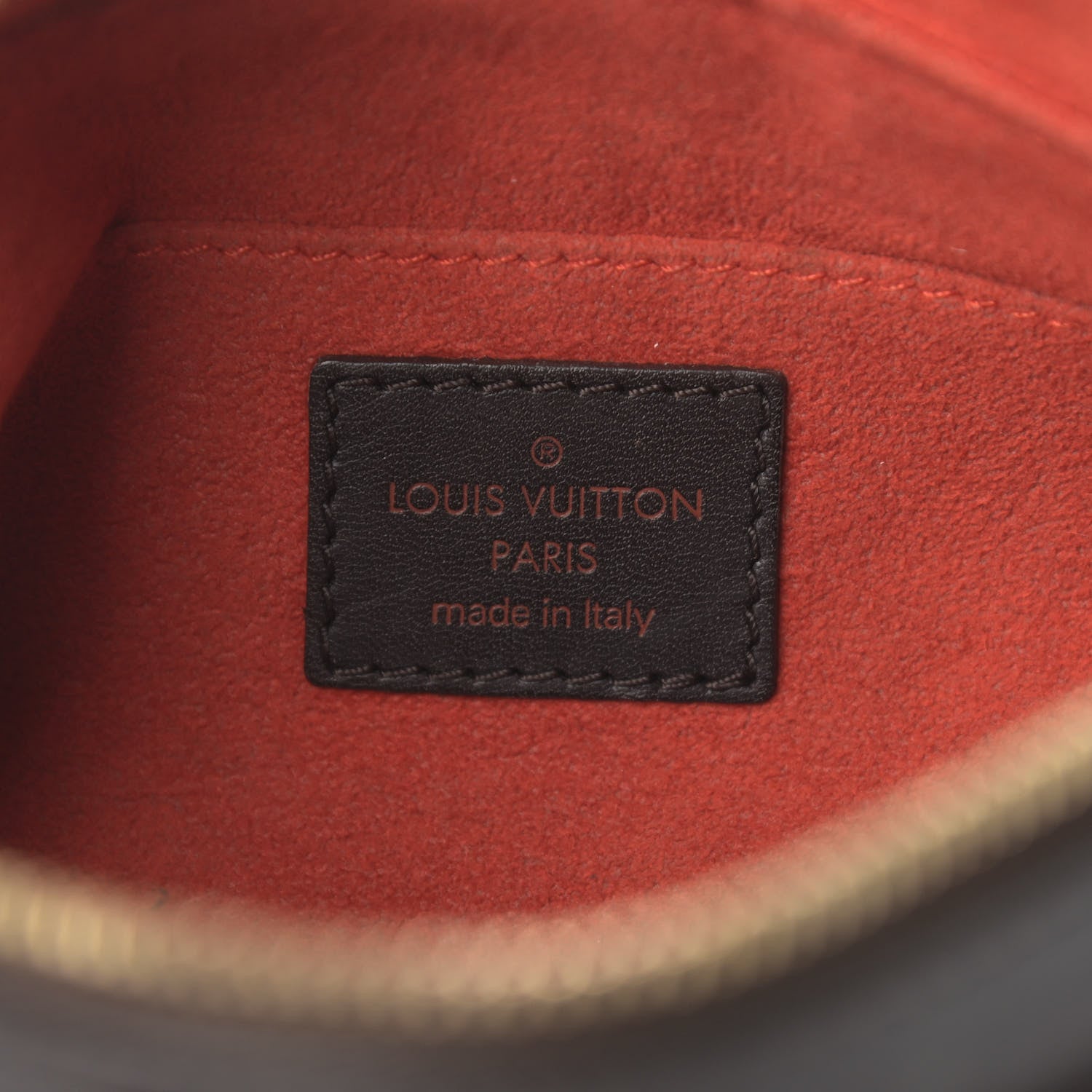 Louis Vuitton Calf Hair Damier Sauvage Tigre 6 of 14