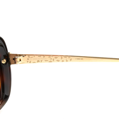 Cartier Panthere Wild De Cartier Sunglasses Brown 7 of 9
