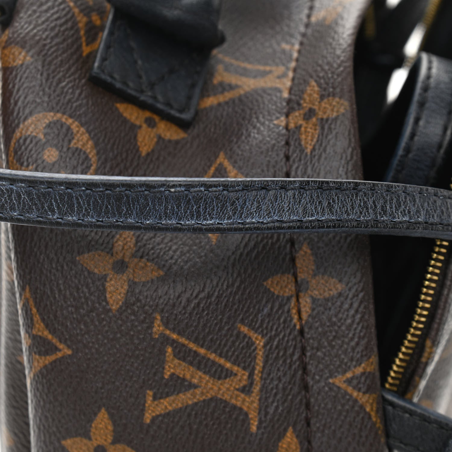 Louis Vuitton Monogram Palm Springs Backpack Mini 12 of 19