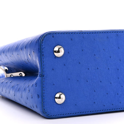 Louis Vuitton Ostrich Capucines MM Saphir 8 of 10