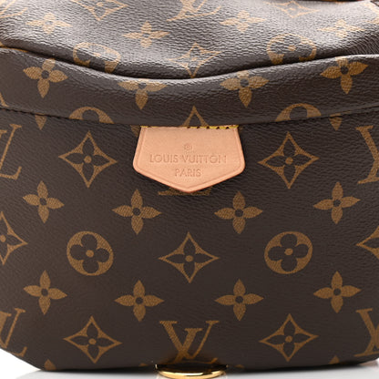 Louis Vuitton Monogram Bumbag 7 of 10