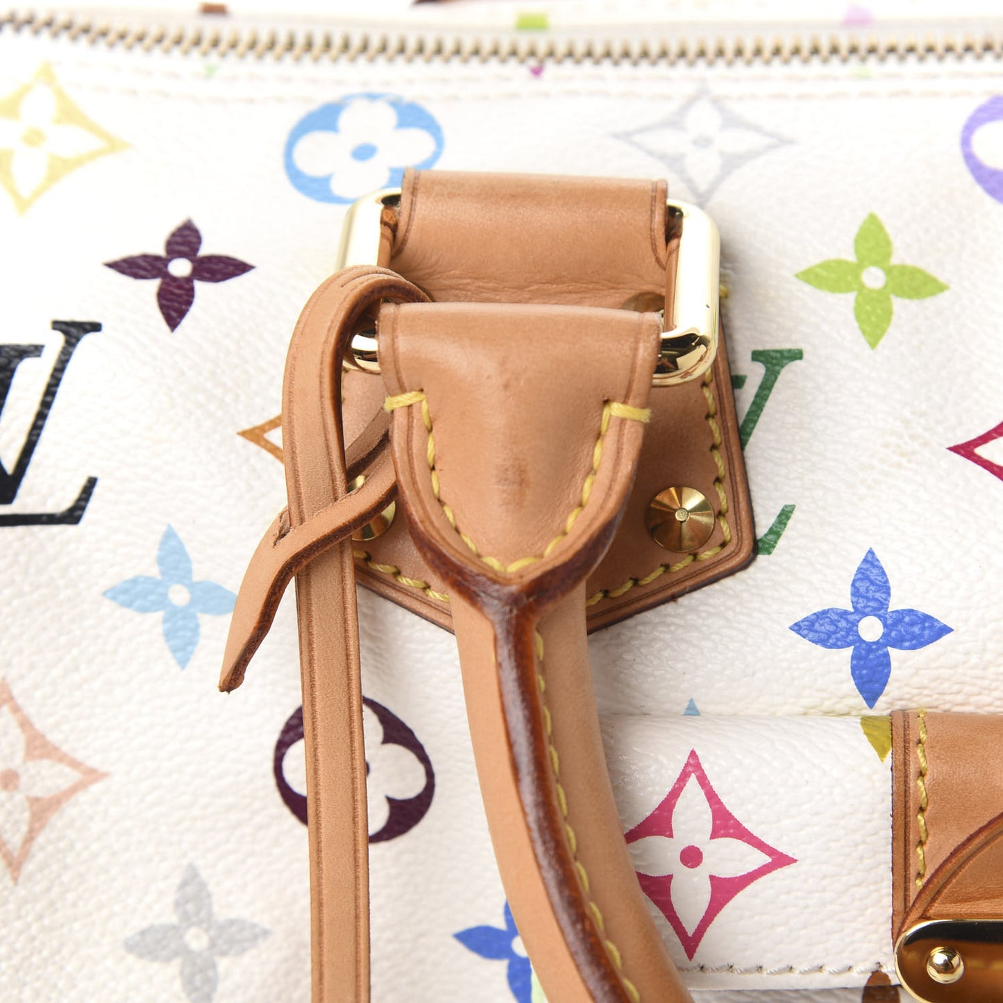 Monogram Multicolor Speedy 30 White