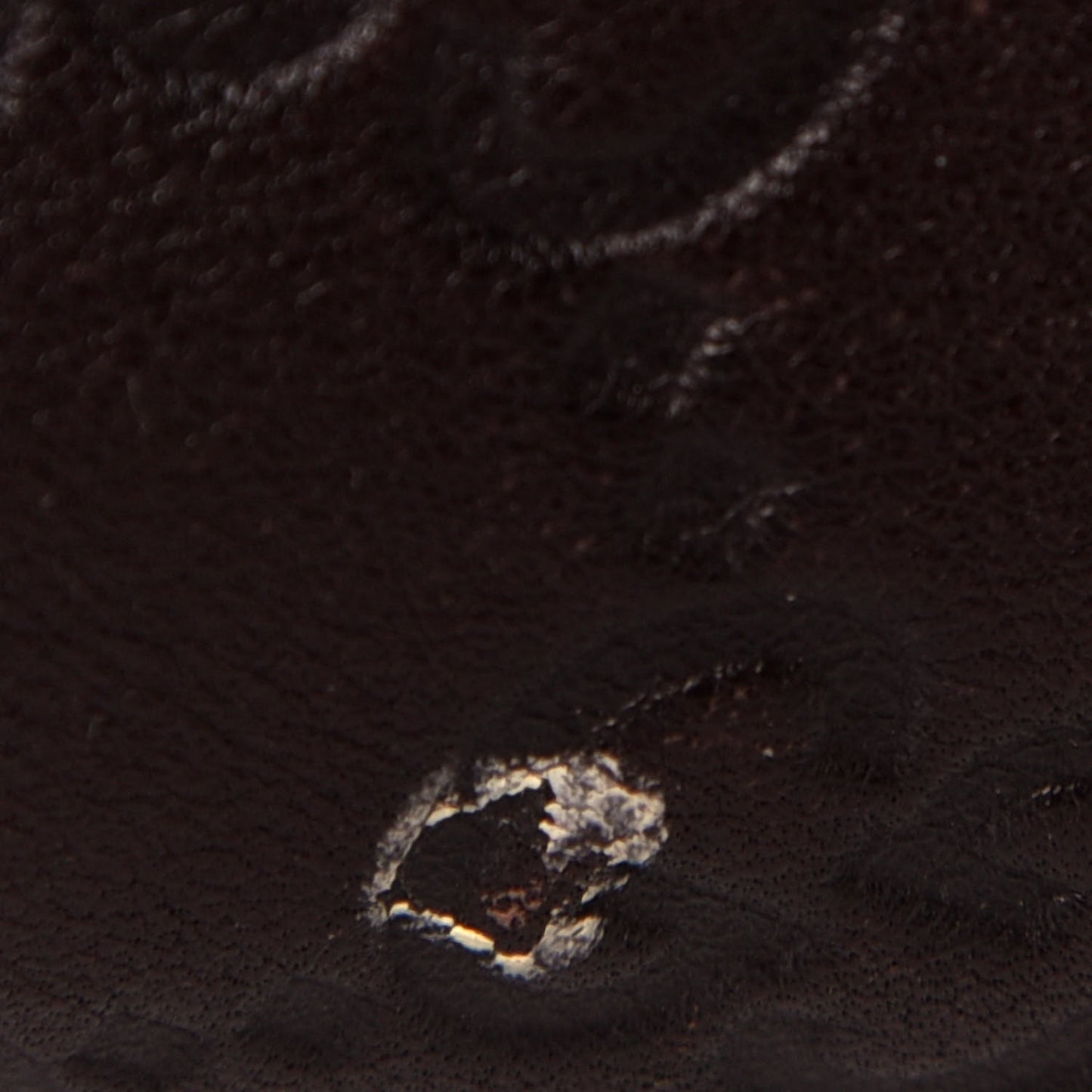 Guccissima Signature Large Sukey Tote Chocolate