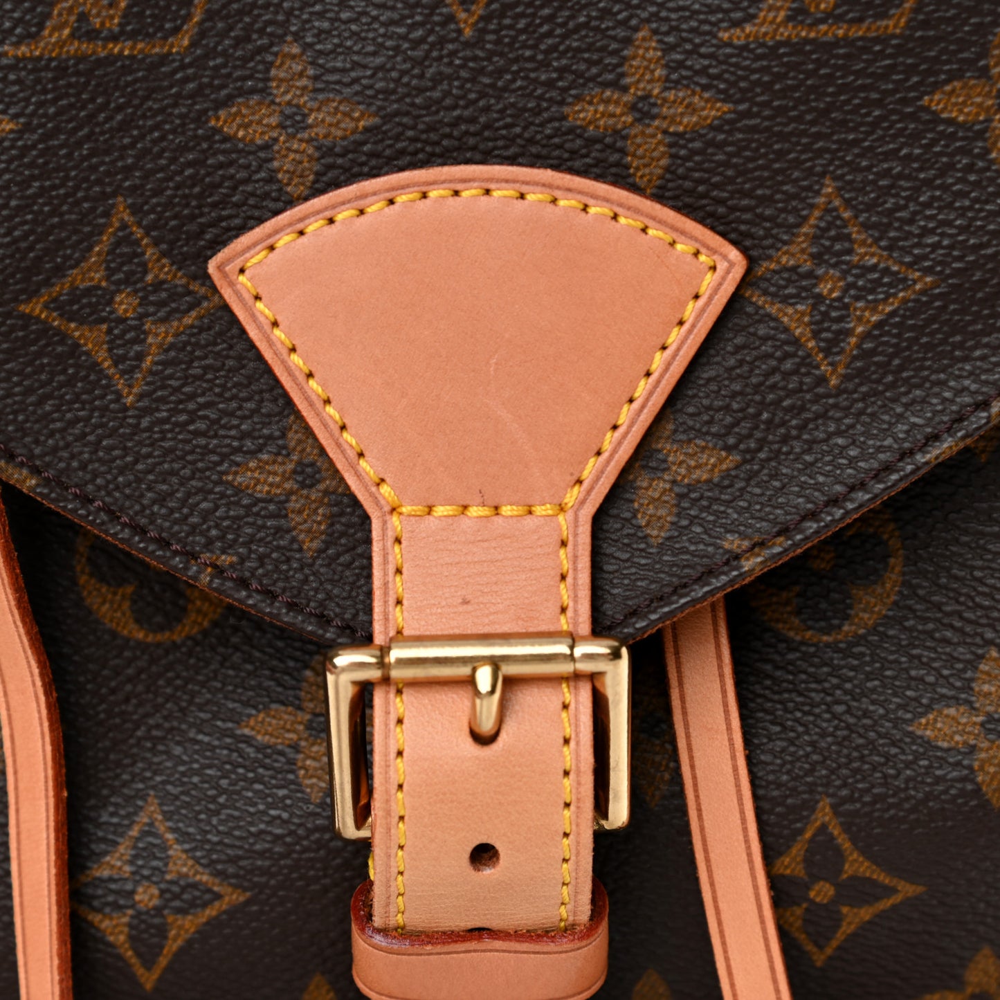 Monogram Montsouris GM Backpack