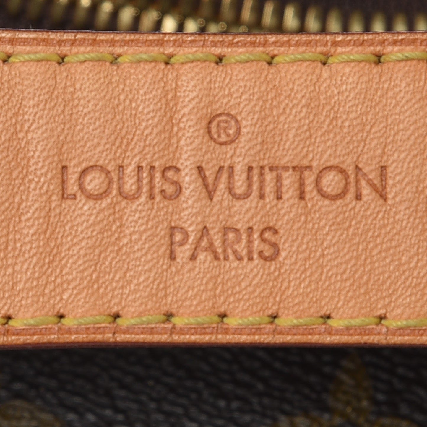 Monogram Sully MM