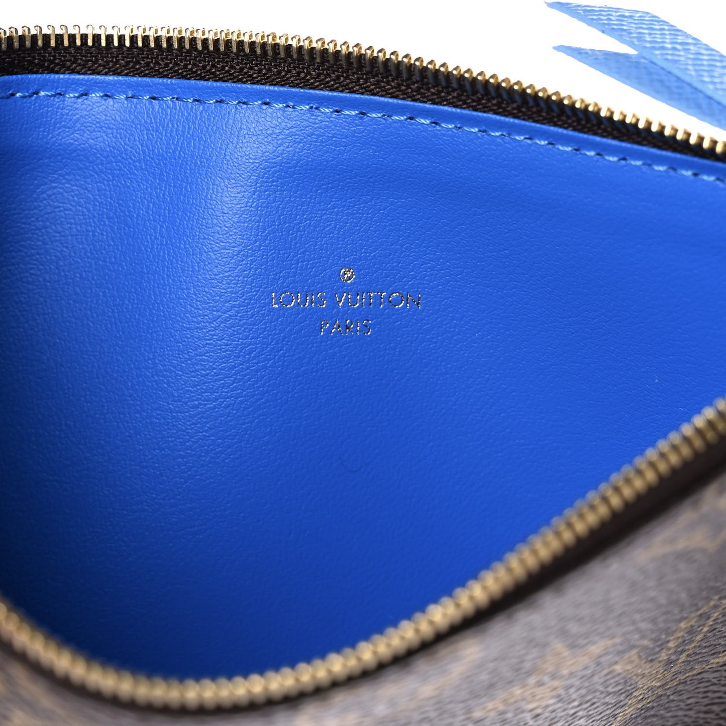 Monogram 2021 Christmas Animation China Wall Pochette Felicie Chain Wallet Myosotis Blue