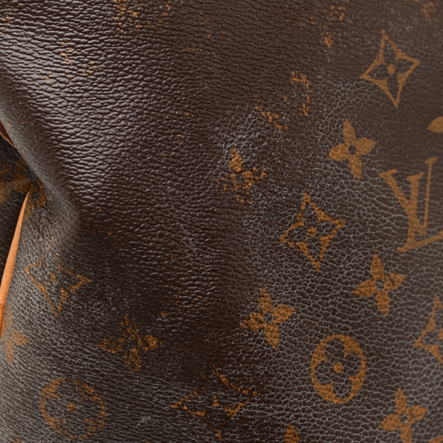 Monogram Delightful MM