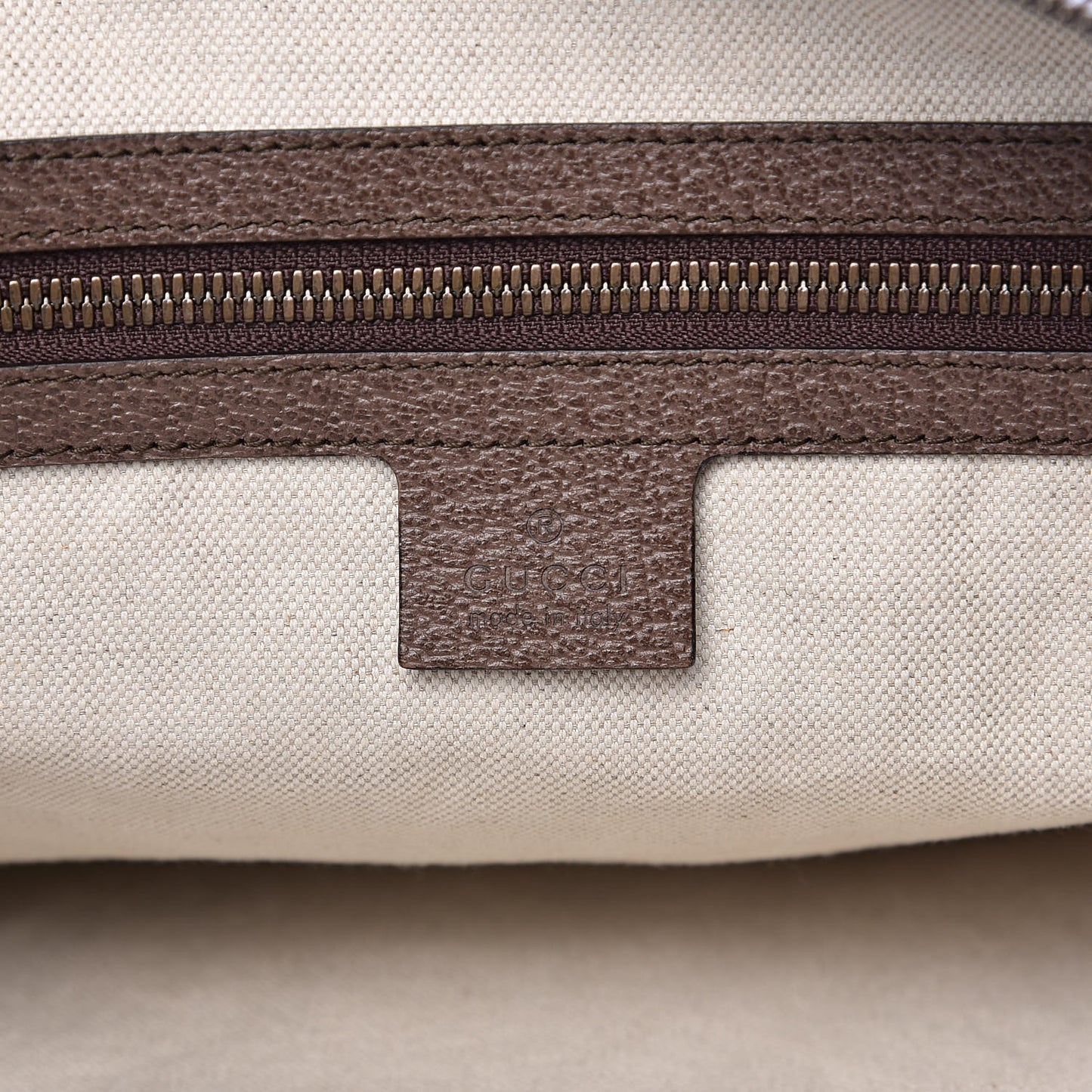 GG Supreme Monogram Web Ophidia Half Moon Hobo Brown
