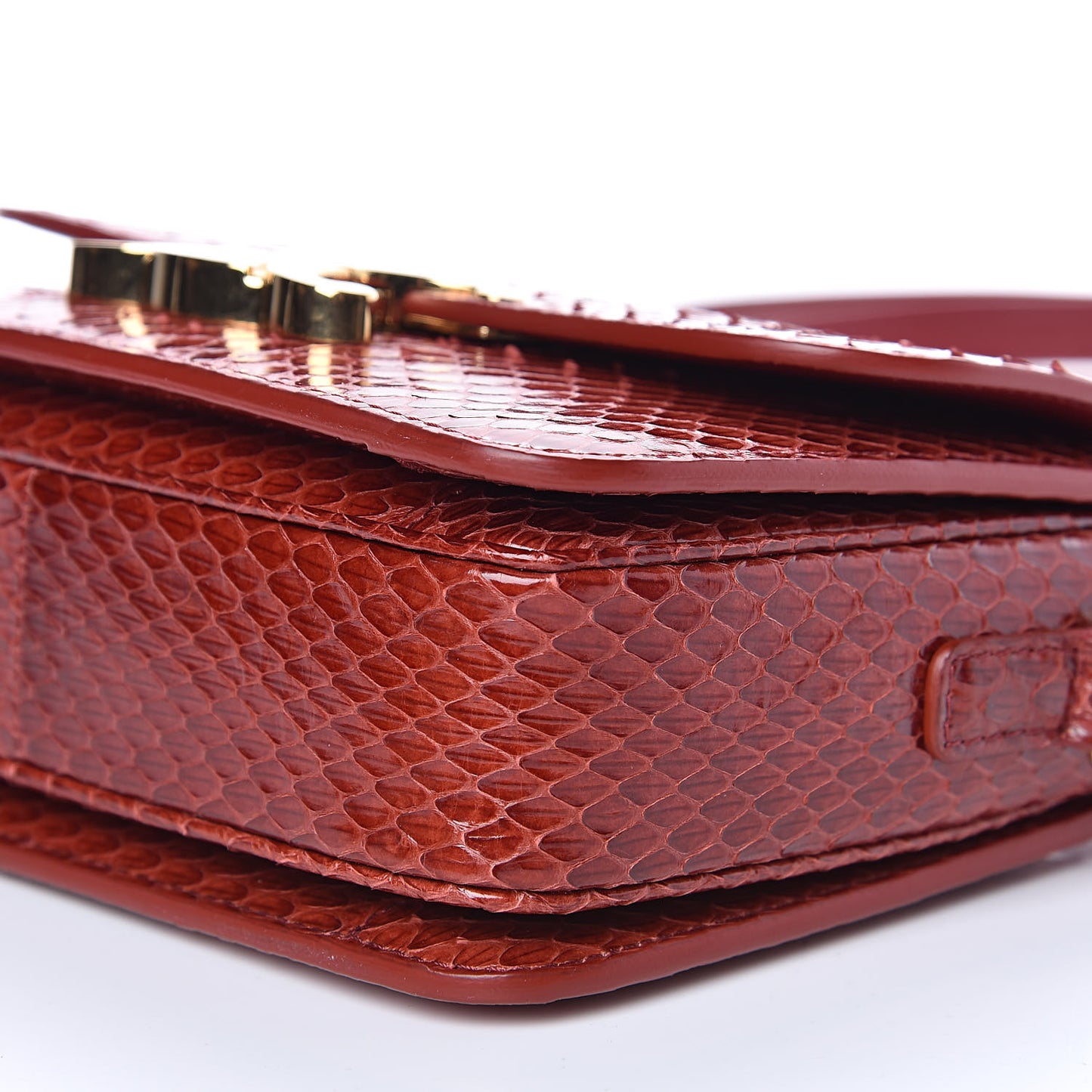 Watersnake Teen Triomphe Ruby