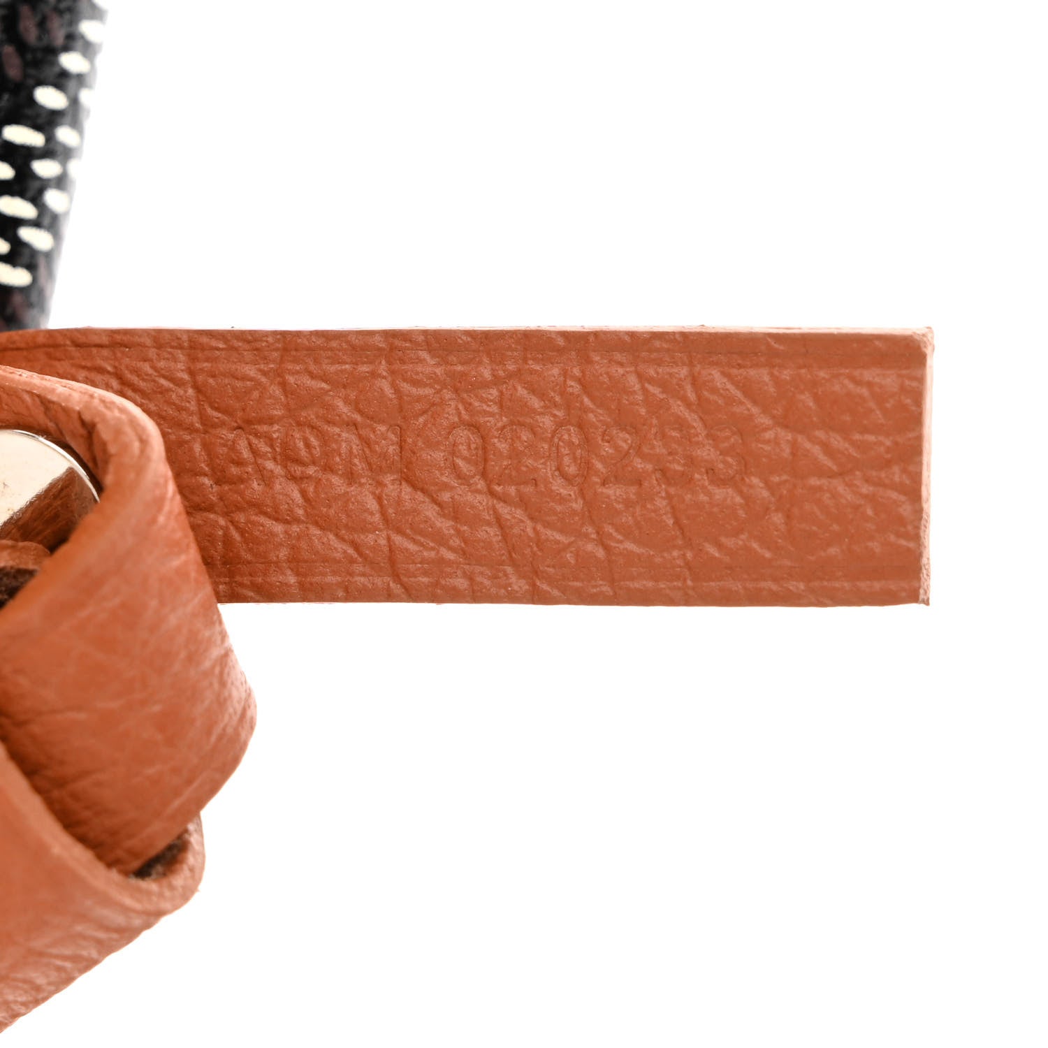Goyard Goyardine Saint Louis PM Black Gold 9 of 12