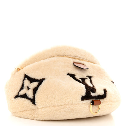 Louis Vuitton Monogram Teddy Bumbag 4 of 9
