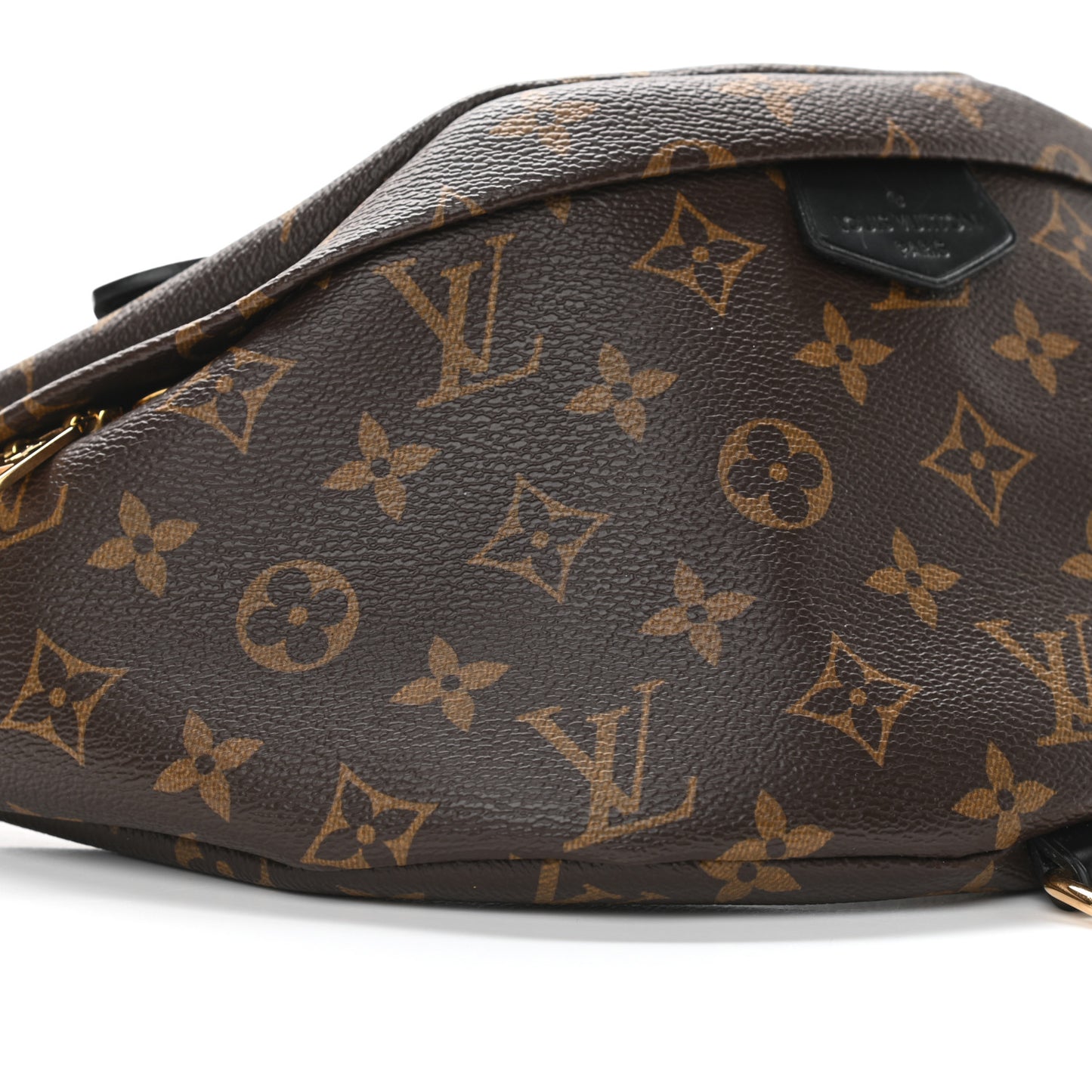 Monogram My LV World Tour Bumbag