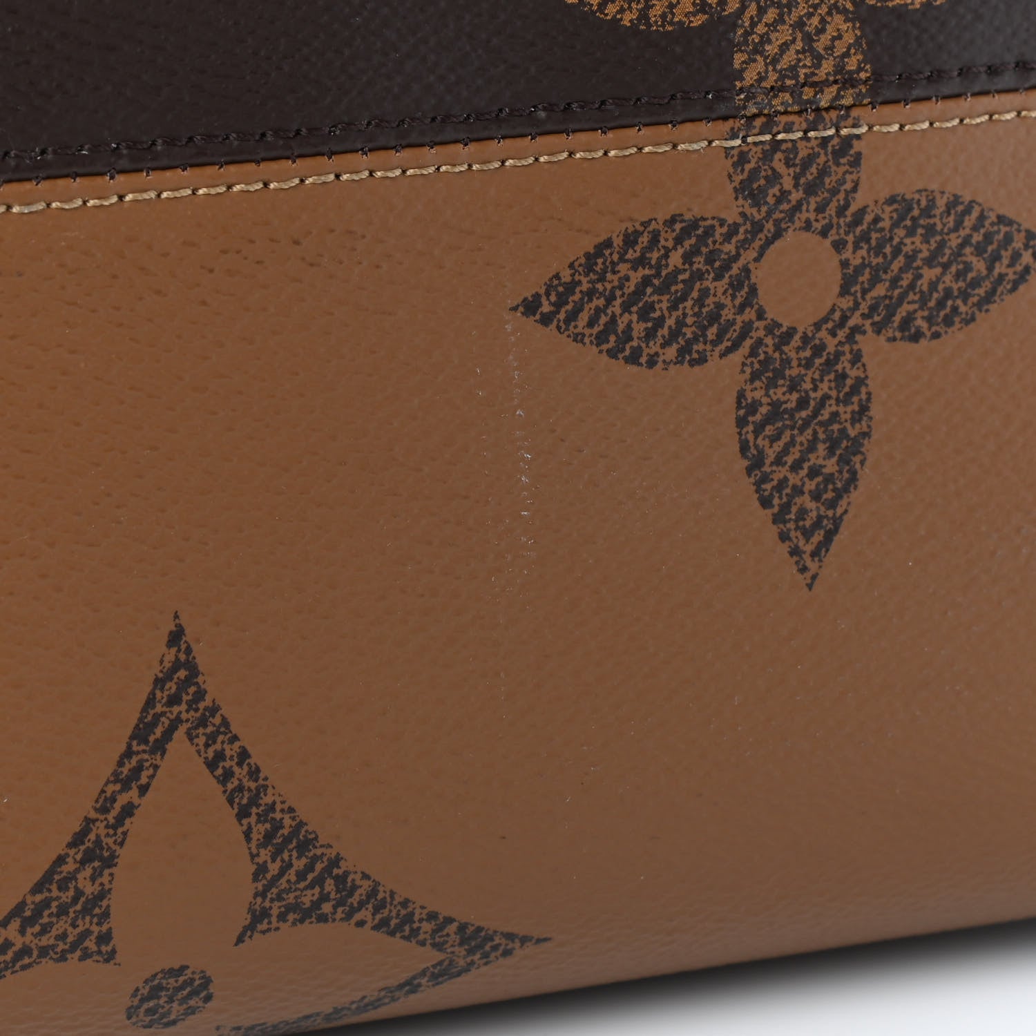 Louis Vuitton Reverse Monogram Giant Onthego GM 10 of 12