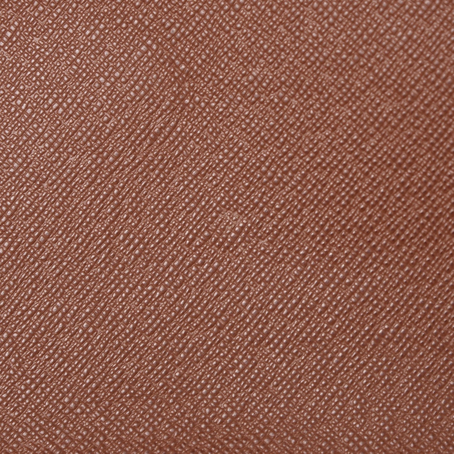 Monogram Musette Salsa