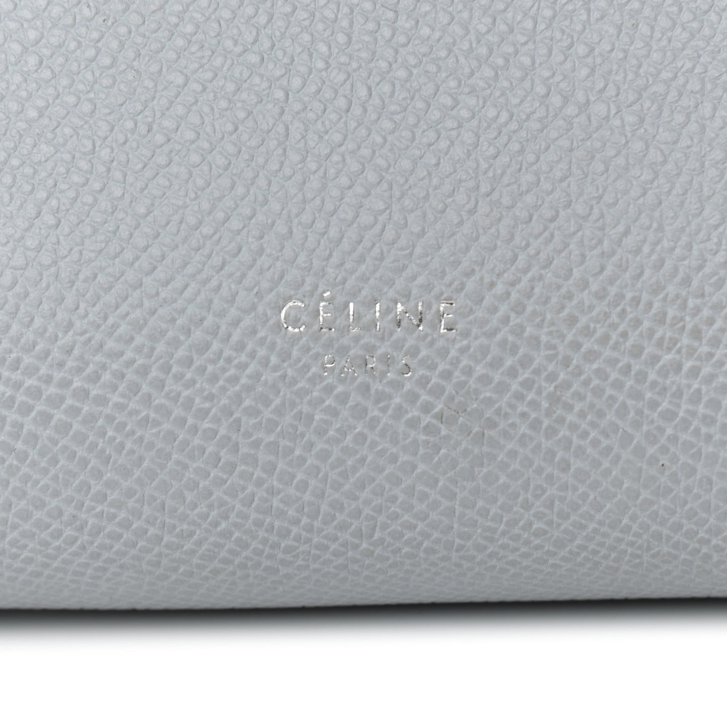 Grained Calfskin Nano Belt Bag Mineral