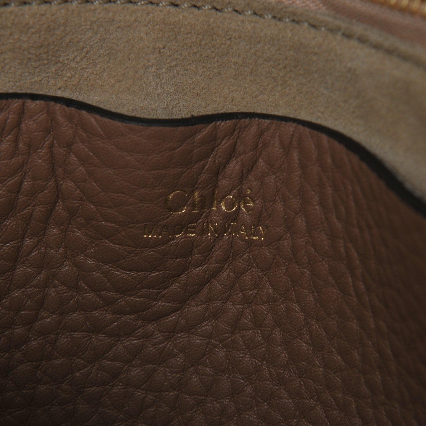 Grained Calfskin Small Hayley Hobo Nut
