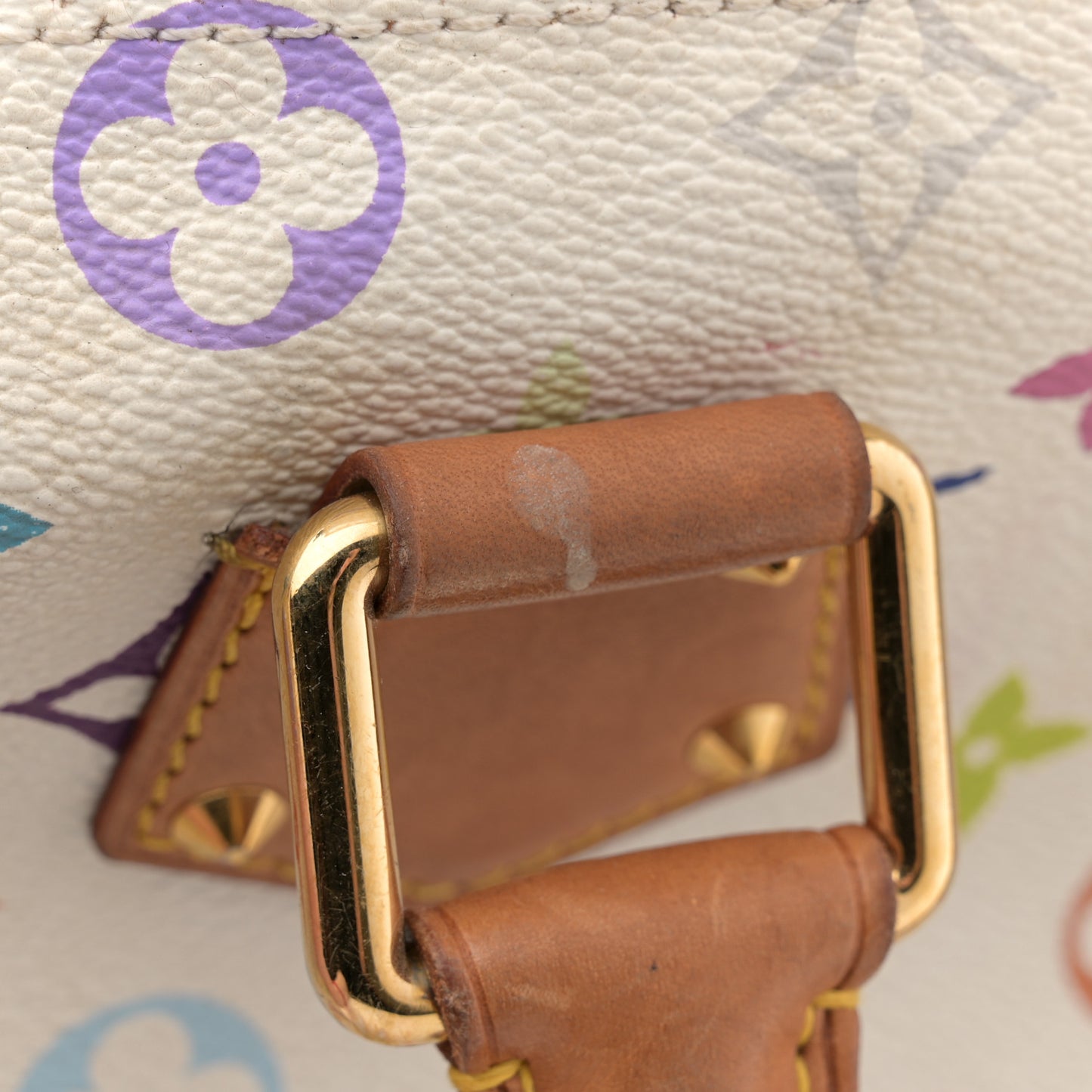 Monogram Multicolor Speedy 30 White