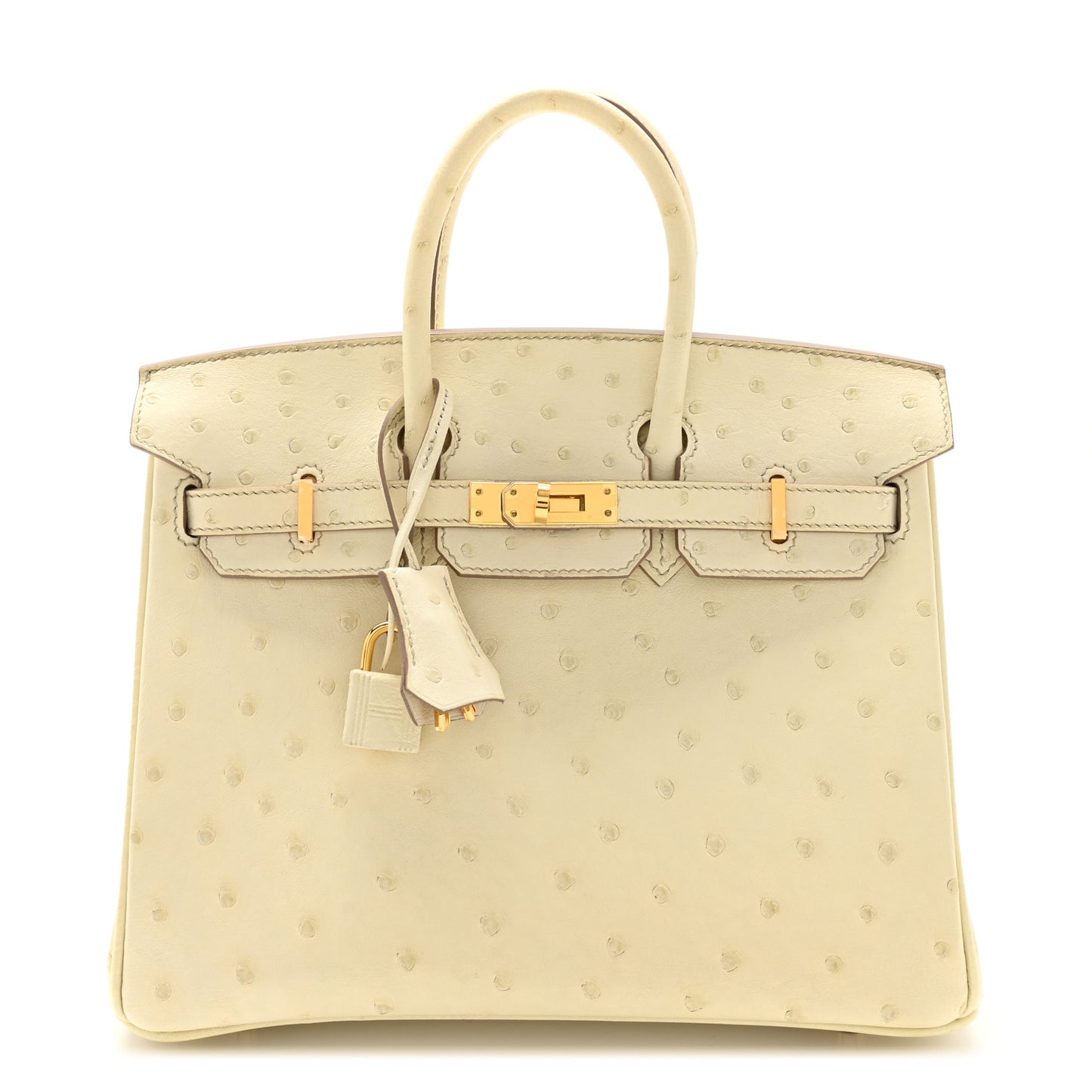 Ostrich Birkin 25 Beton