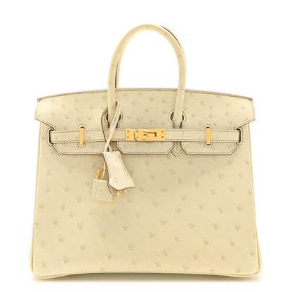 Hermes Ostrich Birkin 25 Beton 1 of 15