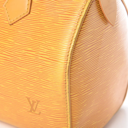 Louis Vuitton Epi Speedy 25 Tassil 23 of 30