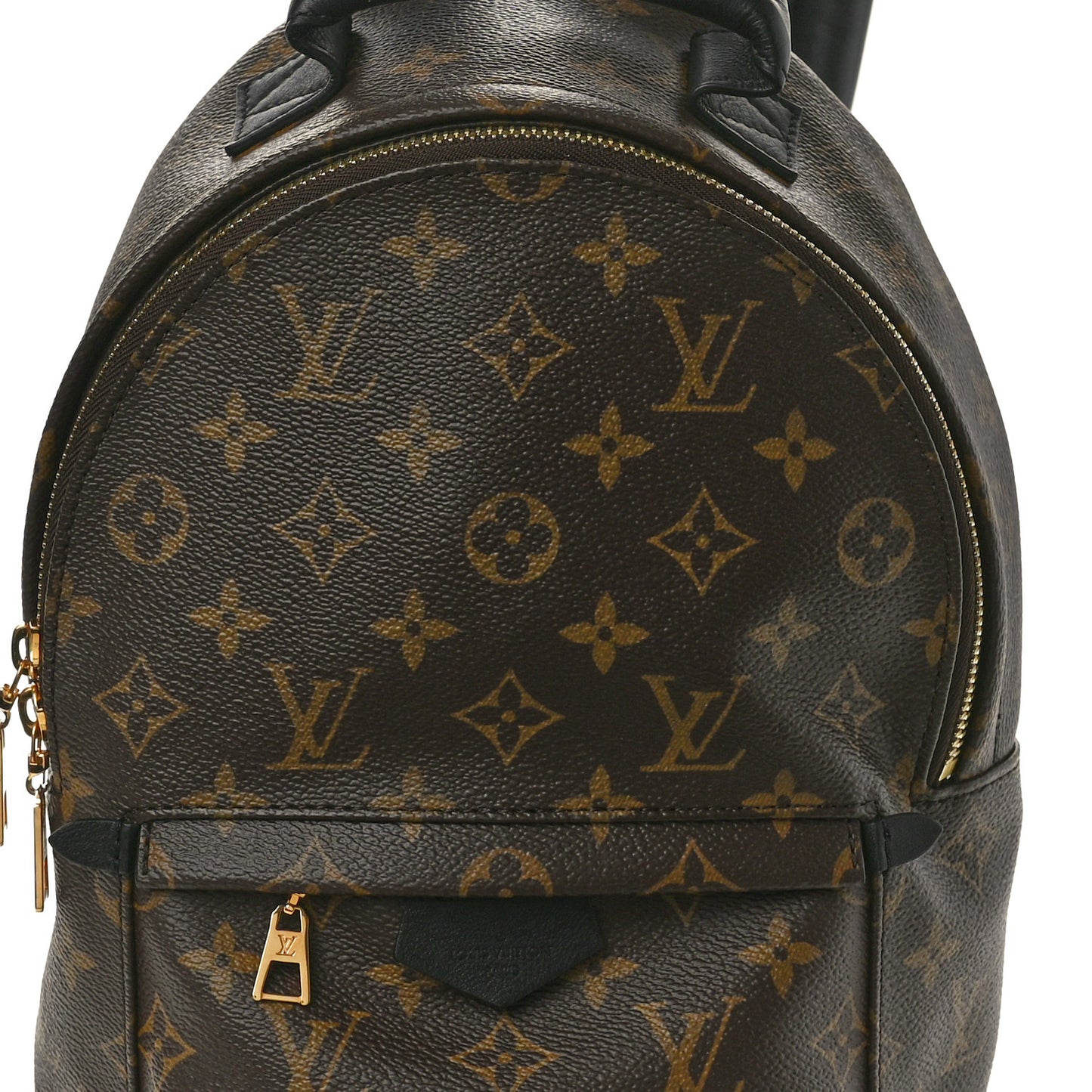 Monogram Palm Springs Backpack PM