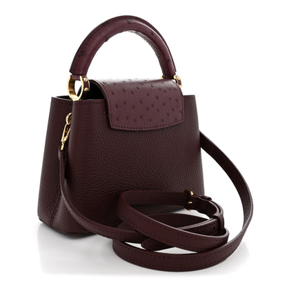 Louis Vuitton Taurillon Ostrich Mini Capucines Bordeaux 3 of 10