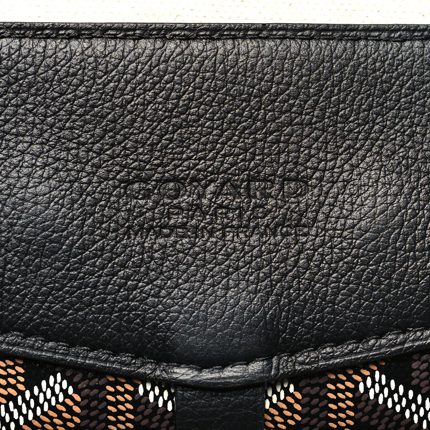 Goyard Goyardine Calfskin Cisalpin MM Backpack Black 6 of 10