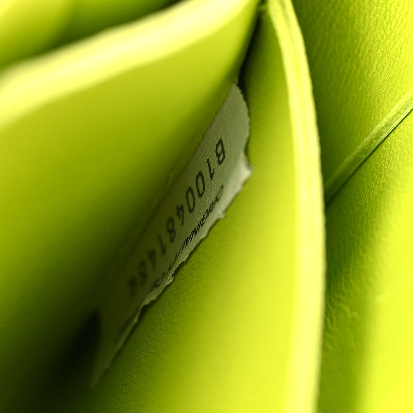 Nappa Maxi Intreccio The Belt Cassette Bag Kiwi