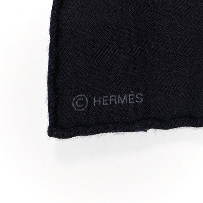 Hermes Cashmere Silk Brazilian Horses Shawl 140 4 of 4