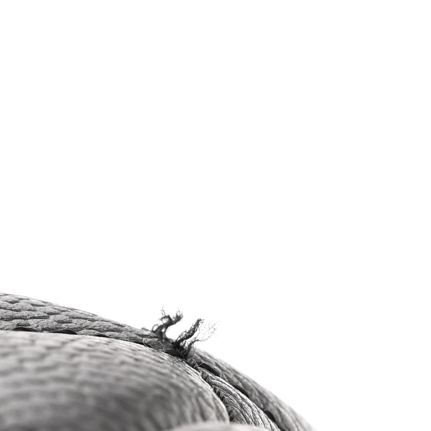 Chanel Caviar Quilted Grand Shopping Tote GST Black 14 of 14