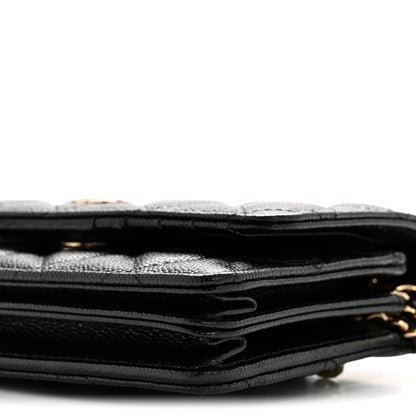 Chanel Caviar Quilted Mini Wallet On Chain WOC Black 10 of 11