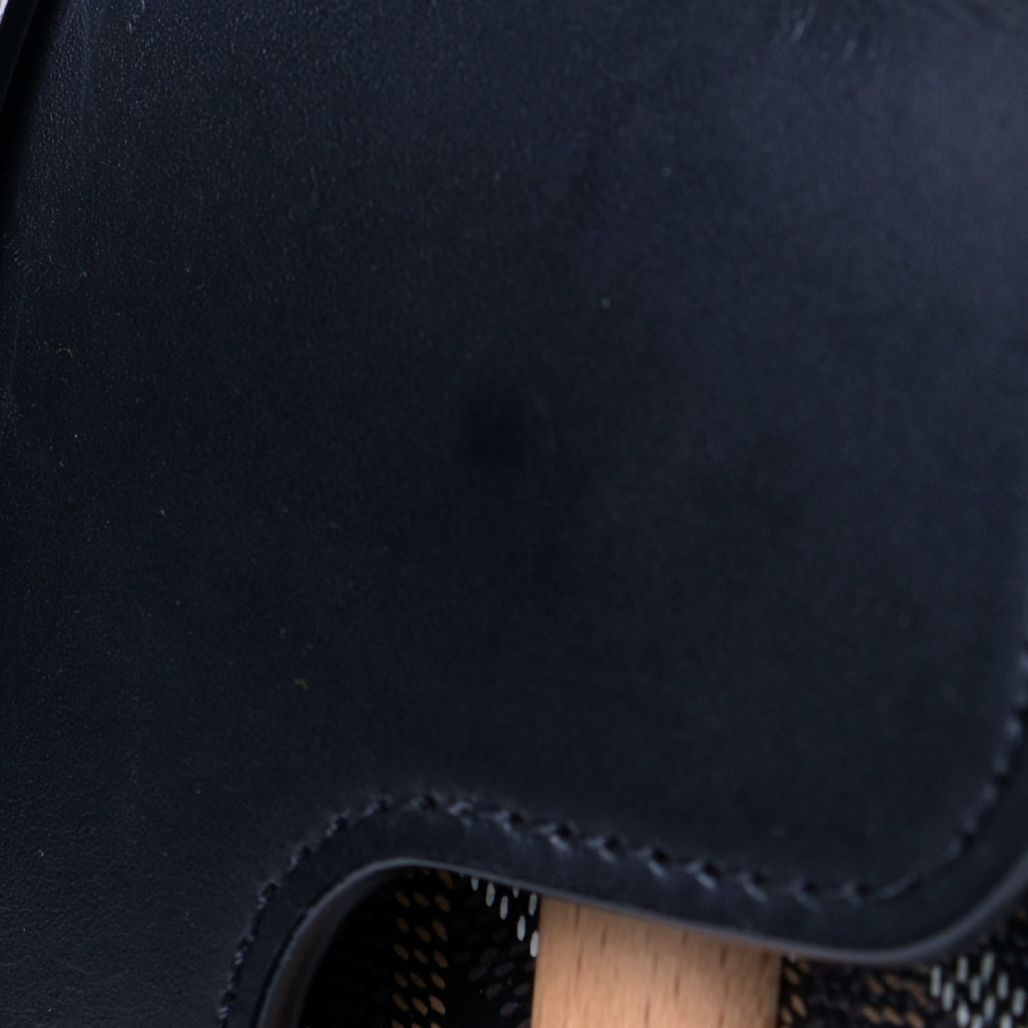 Goyard Goyardine Saigon PM Black 8 of 9