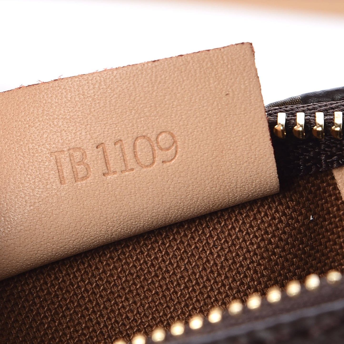 Monogram Nano Speedy
