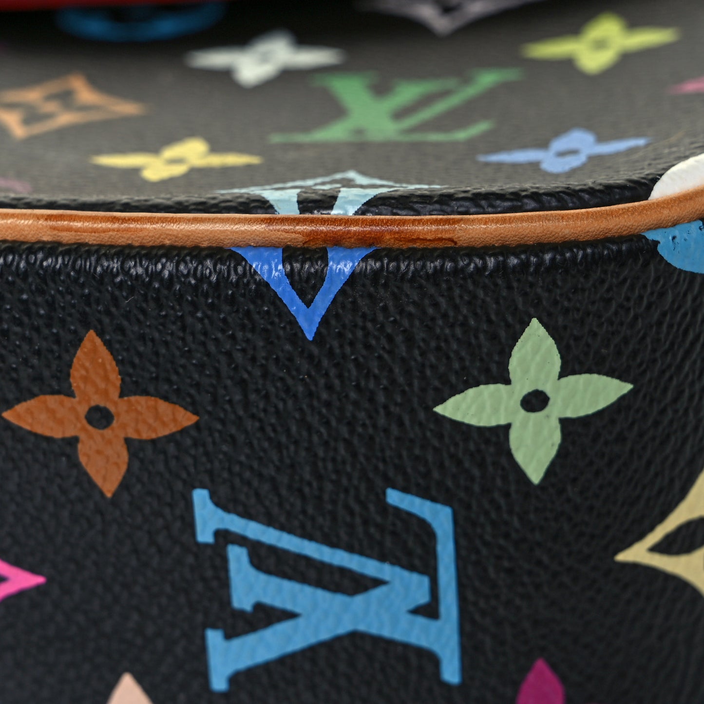 Monogram Multicolor Sologne Black