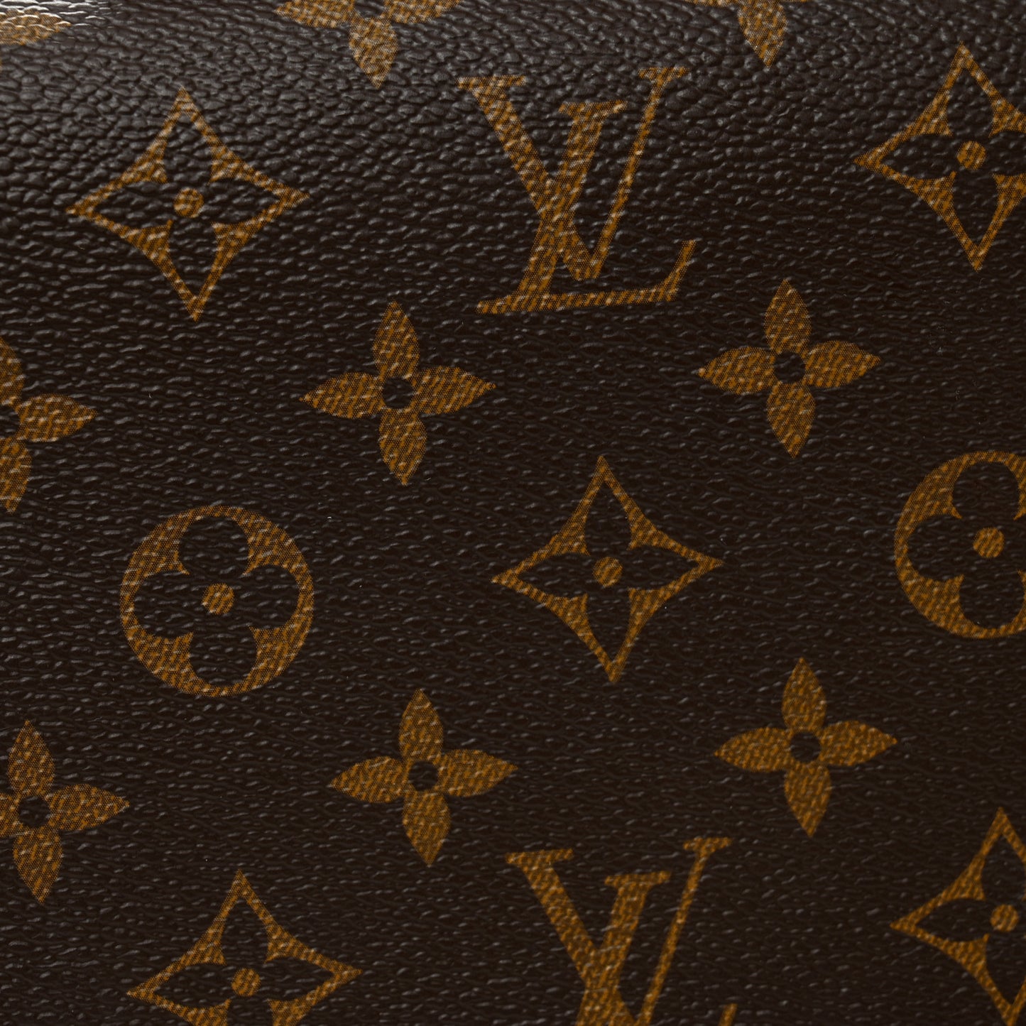 Monogram Macassar Zippy XL Wallet