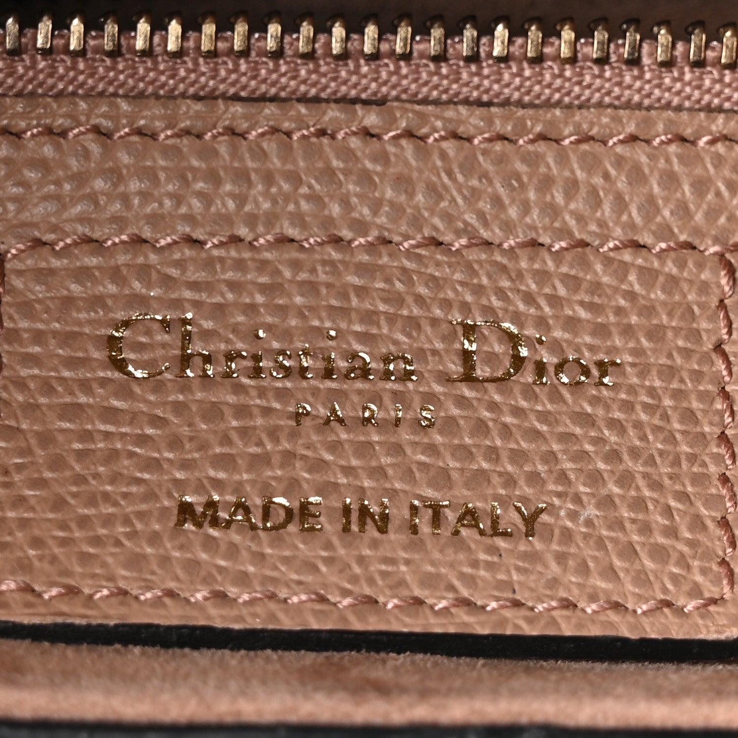 Christian Dior Grained Calfskin Saddle Bag Fard 6 of 10