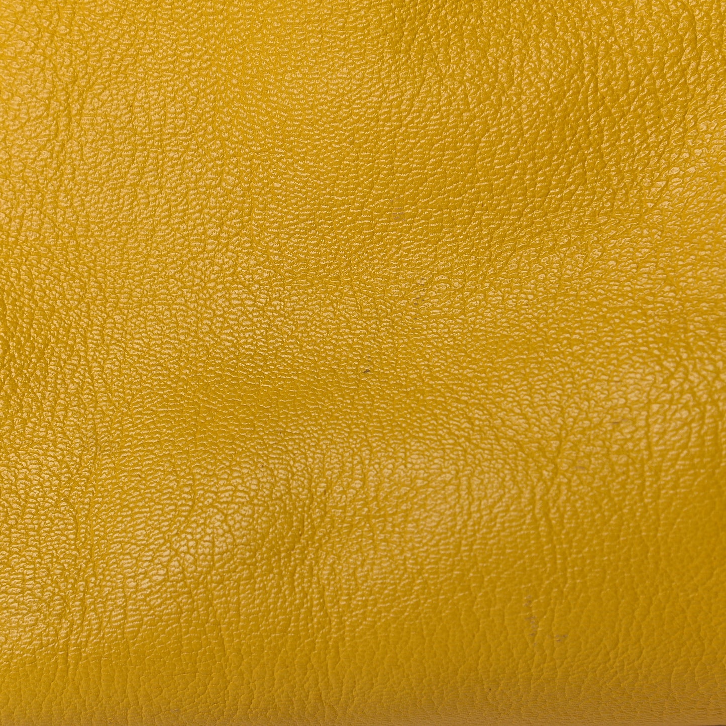 Chevre Silver Metallic Edge Hardware City Jaune Epi