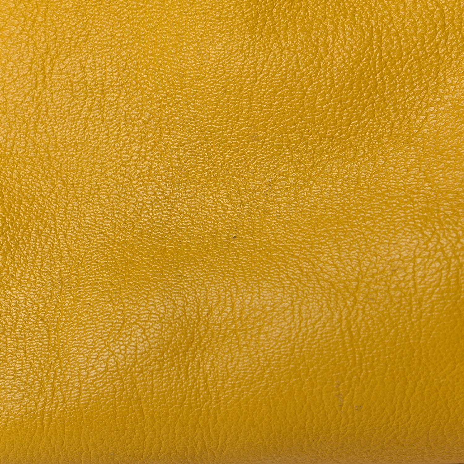 Balenciaga Chevre Silver Metallic Edge Hardware City Jaune Epi 11 of 20