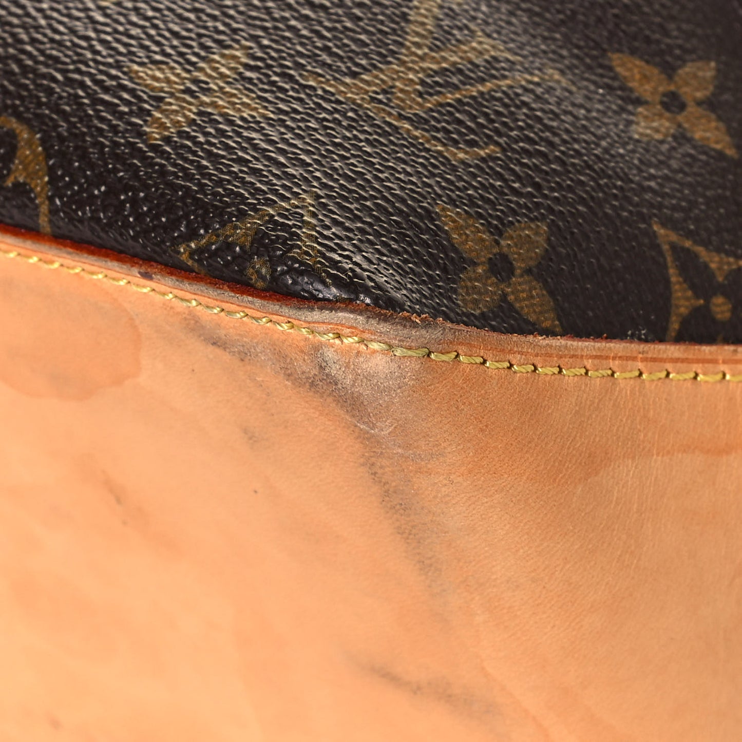 Monogram Cabas Piano