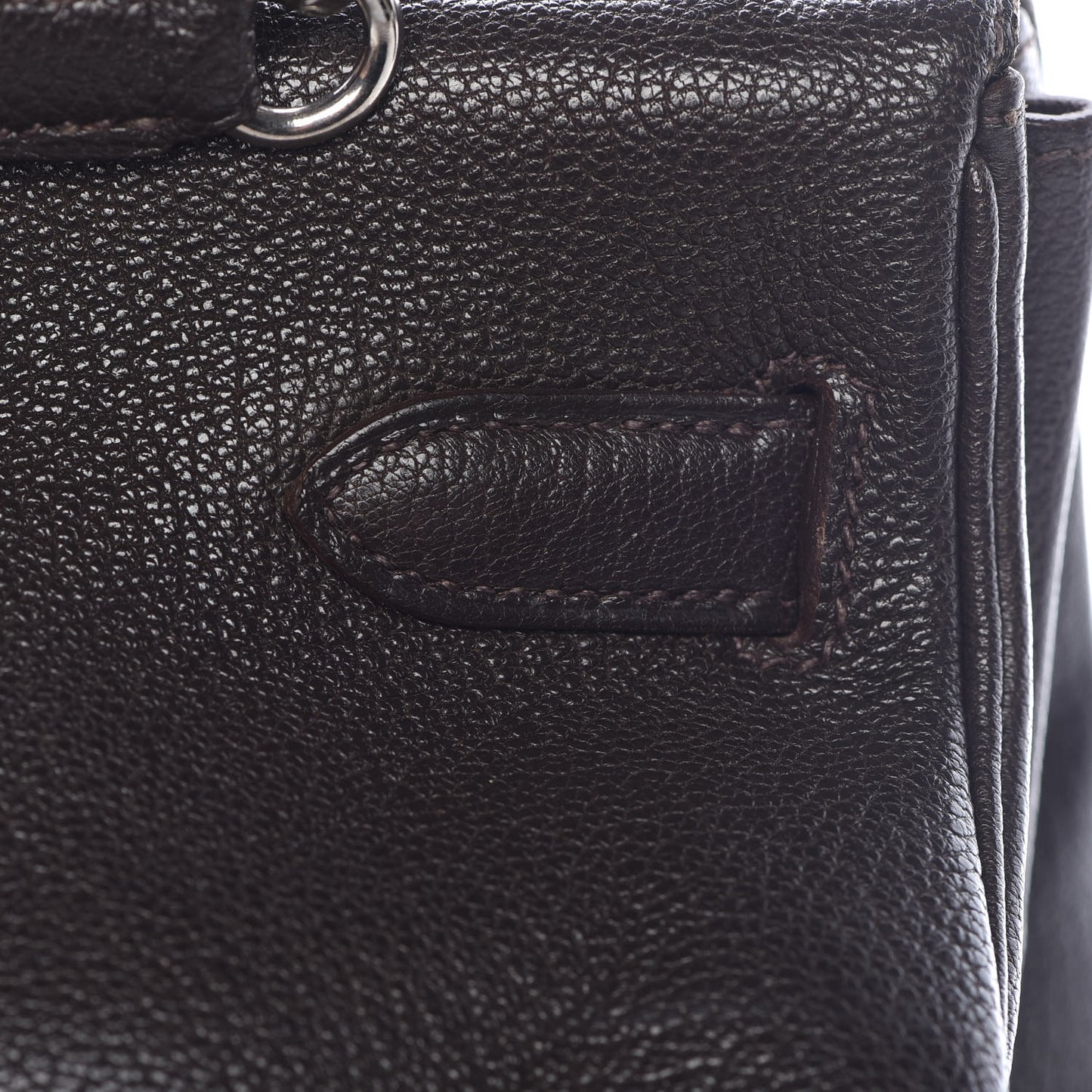 Chevre Mysore Kelly Retourne 35 Ebene
