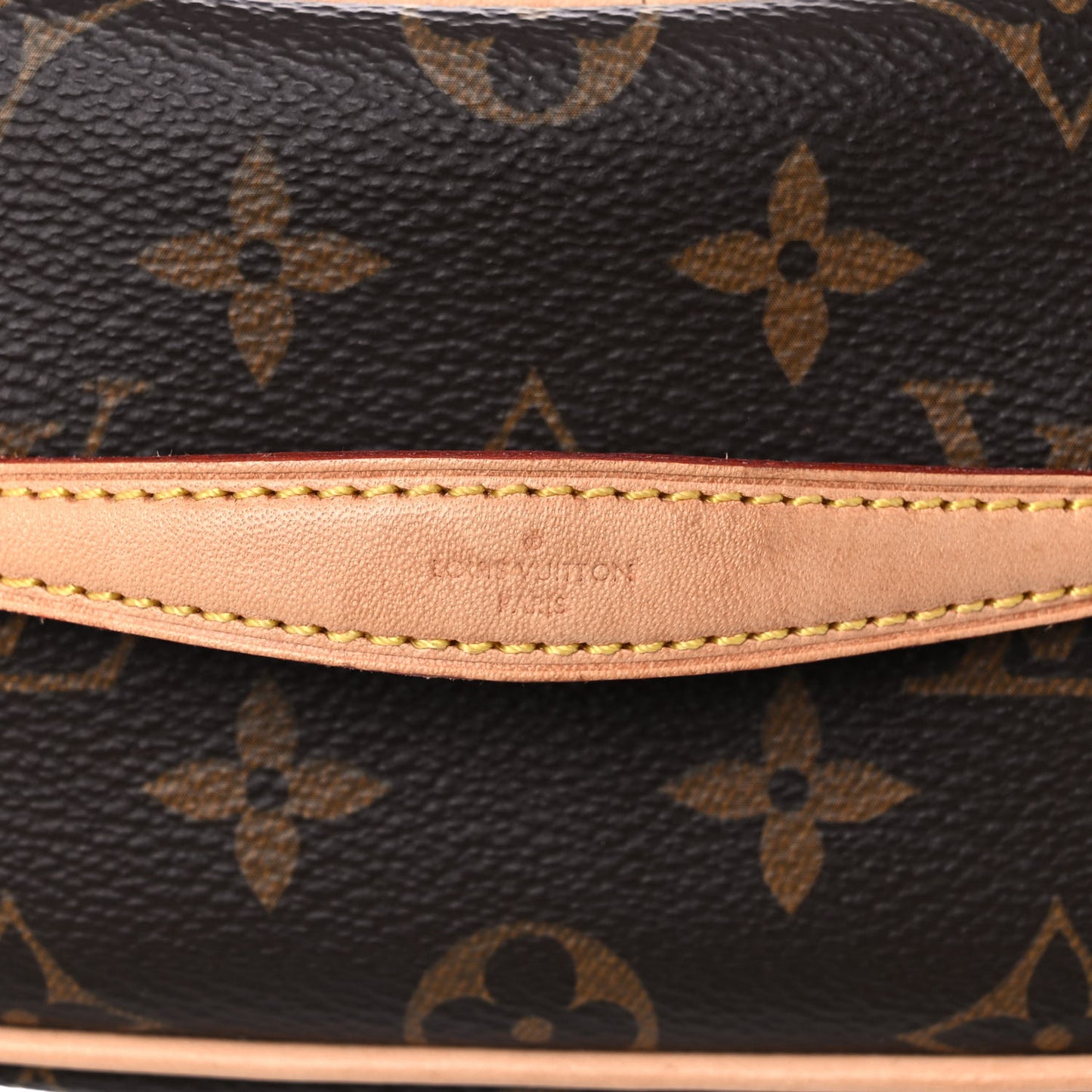 Monogram Nano Nice