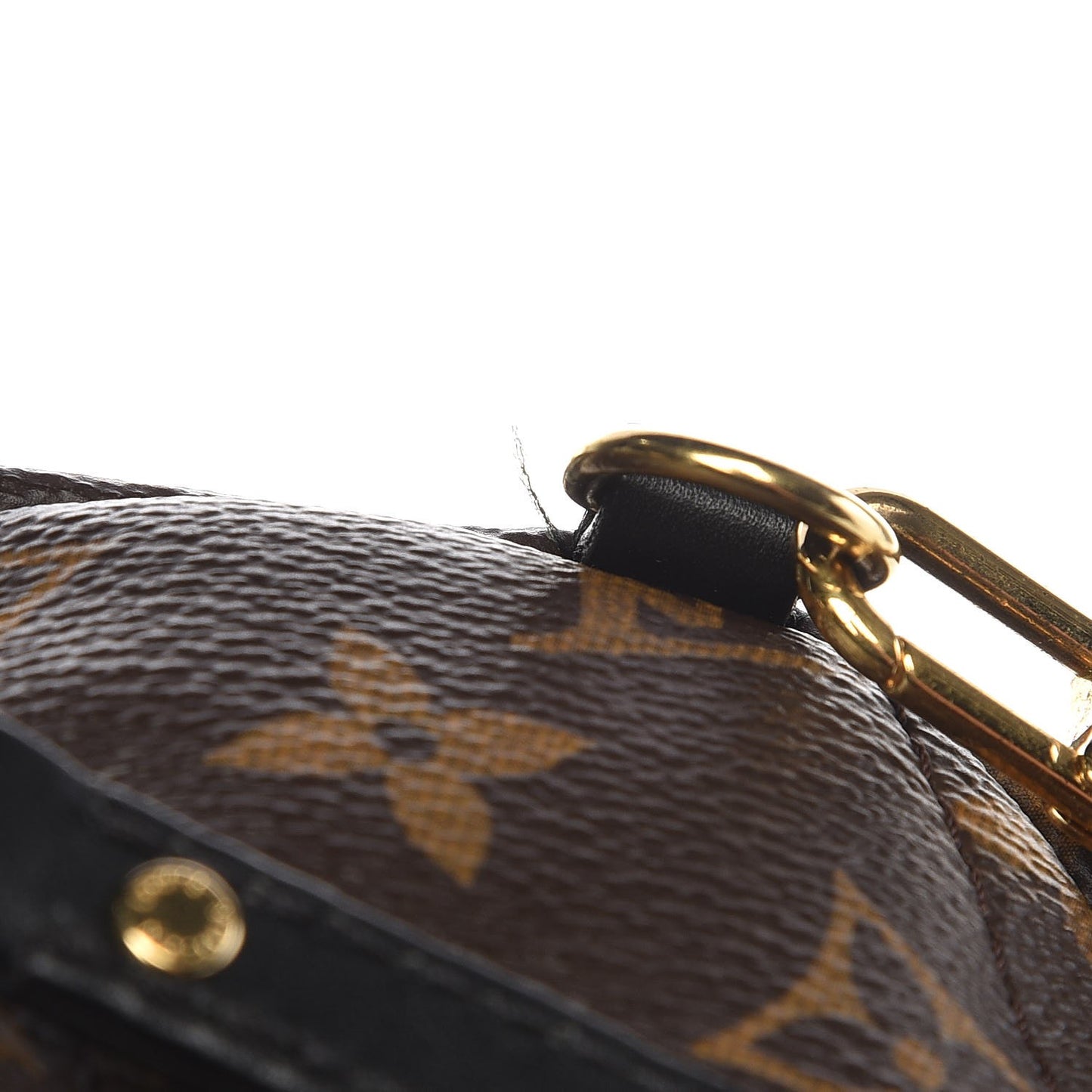 Monogram Palm Springs Backpack Mini