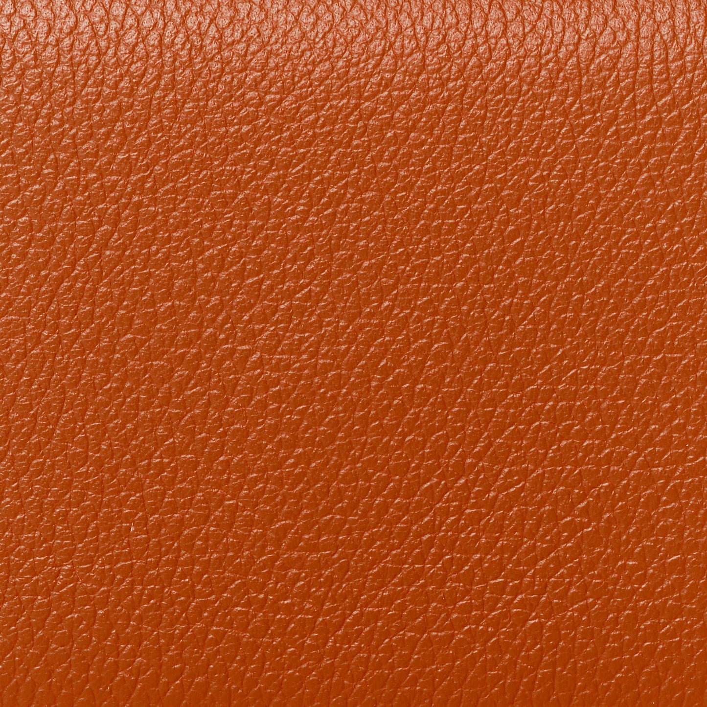 Evercolor Calvi Verso Card Case Terre Battue Bleu France