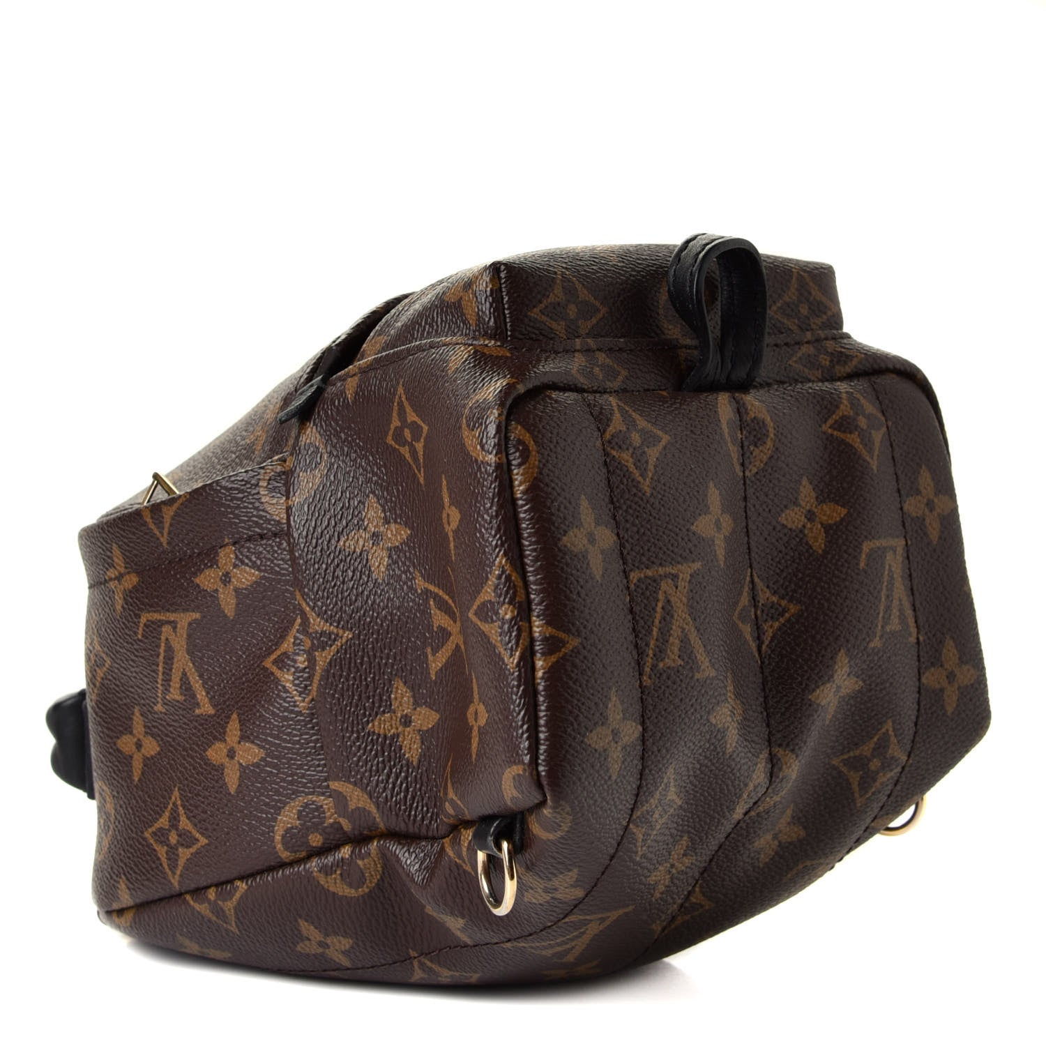 Louis Vuitton Monogram Palm Springs Backpack Mini 5 of 10