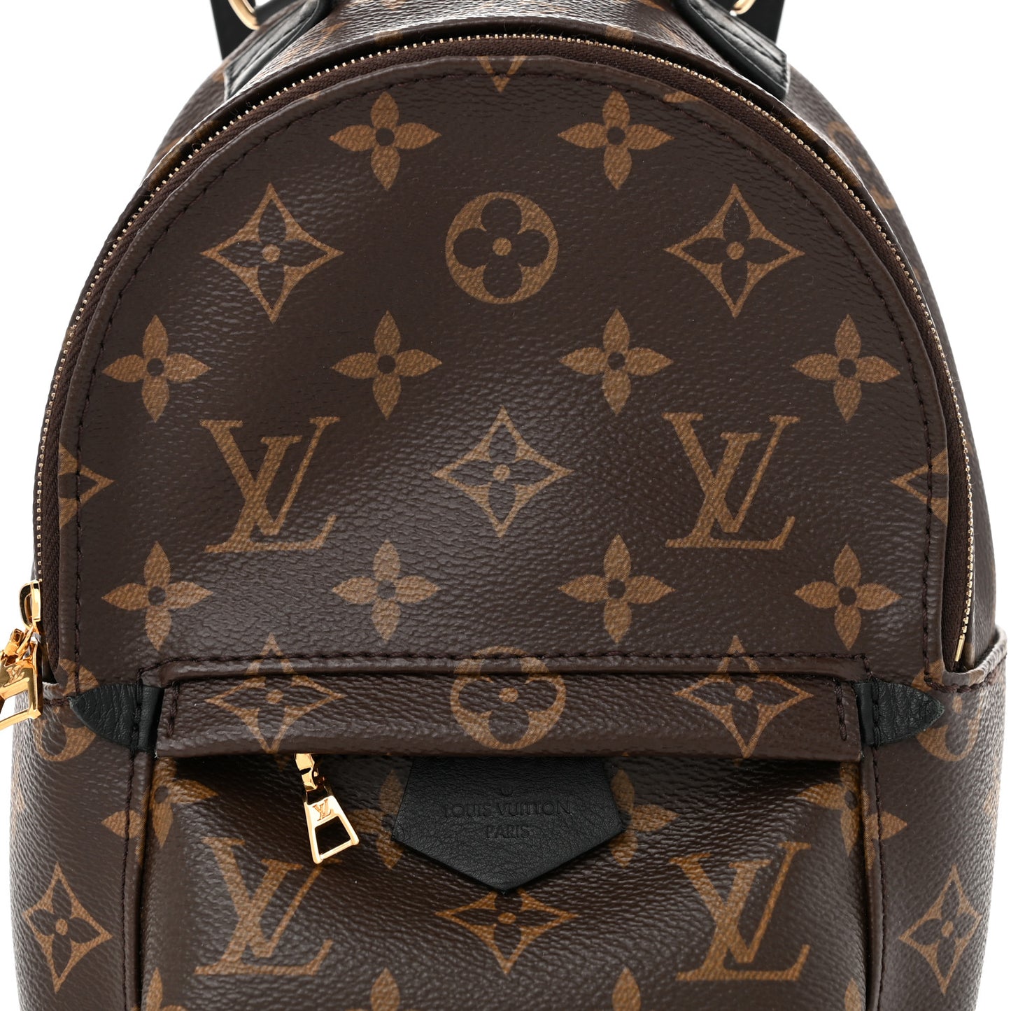 Monogram Palm Springs Backpack Mini