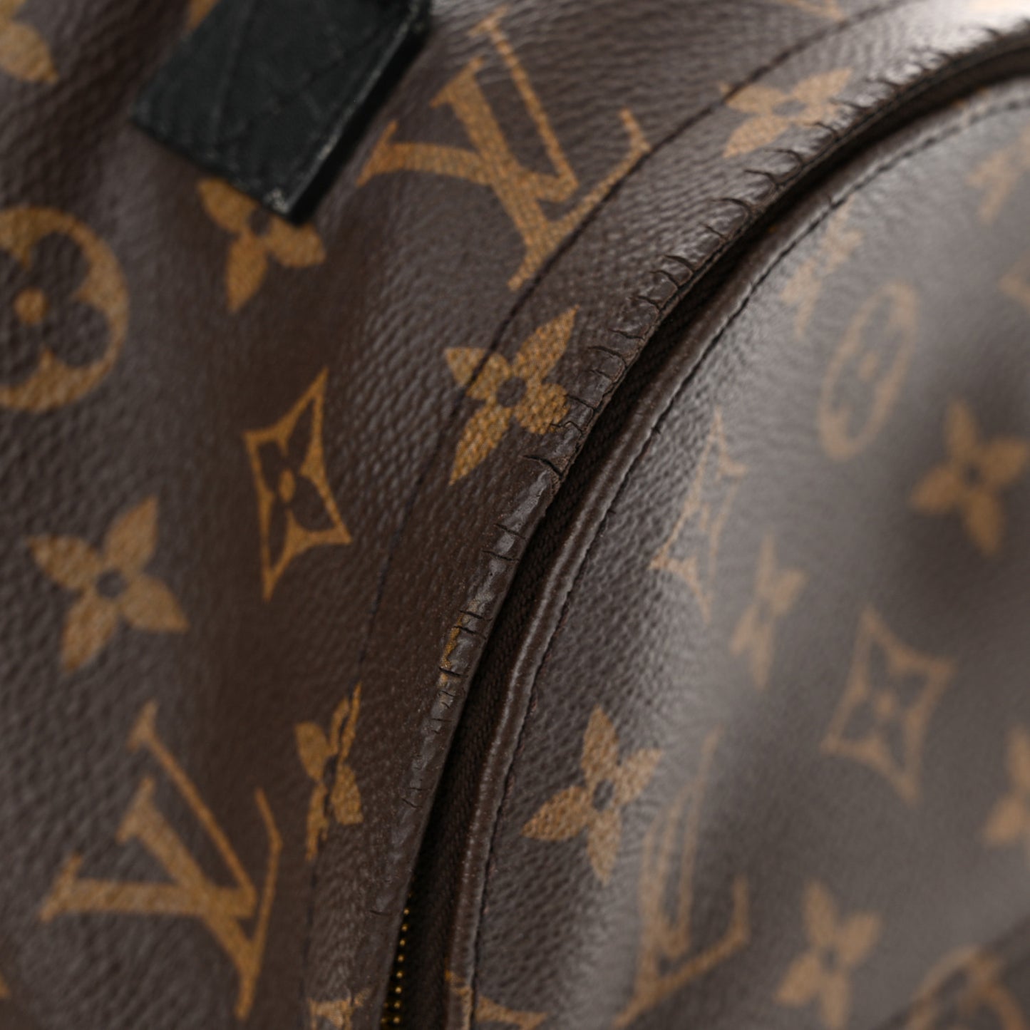 Monogram Palm Springs Backpack Mini