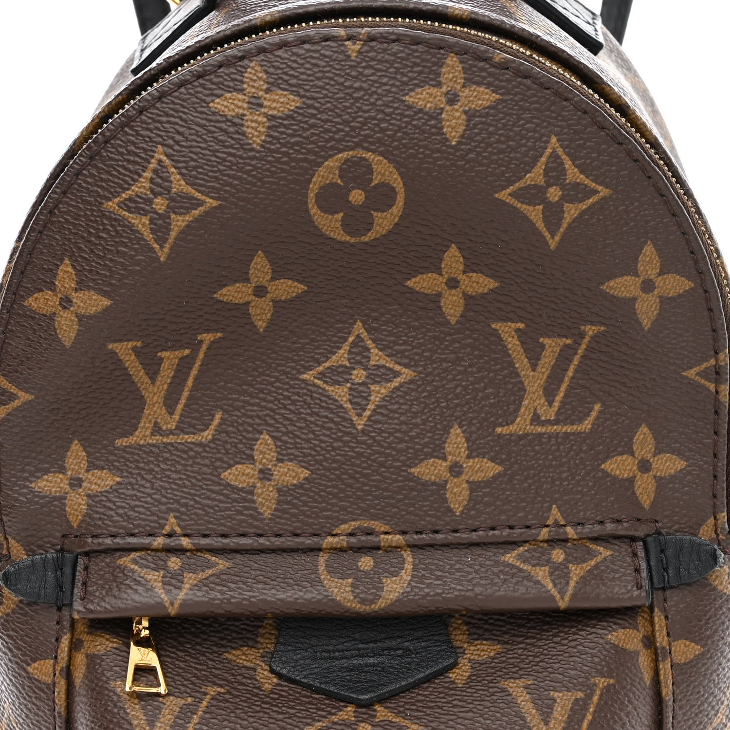 Louis Vuitton Monogram Palm Springs Backpack Mini 9 of 17