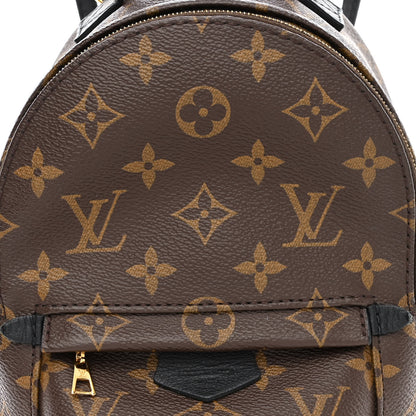 Louis Vuitton Monogram Palm Springs Backpack Mini 9 of 17