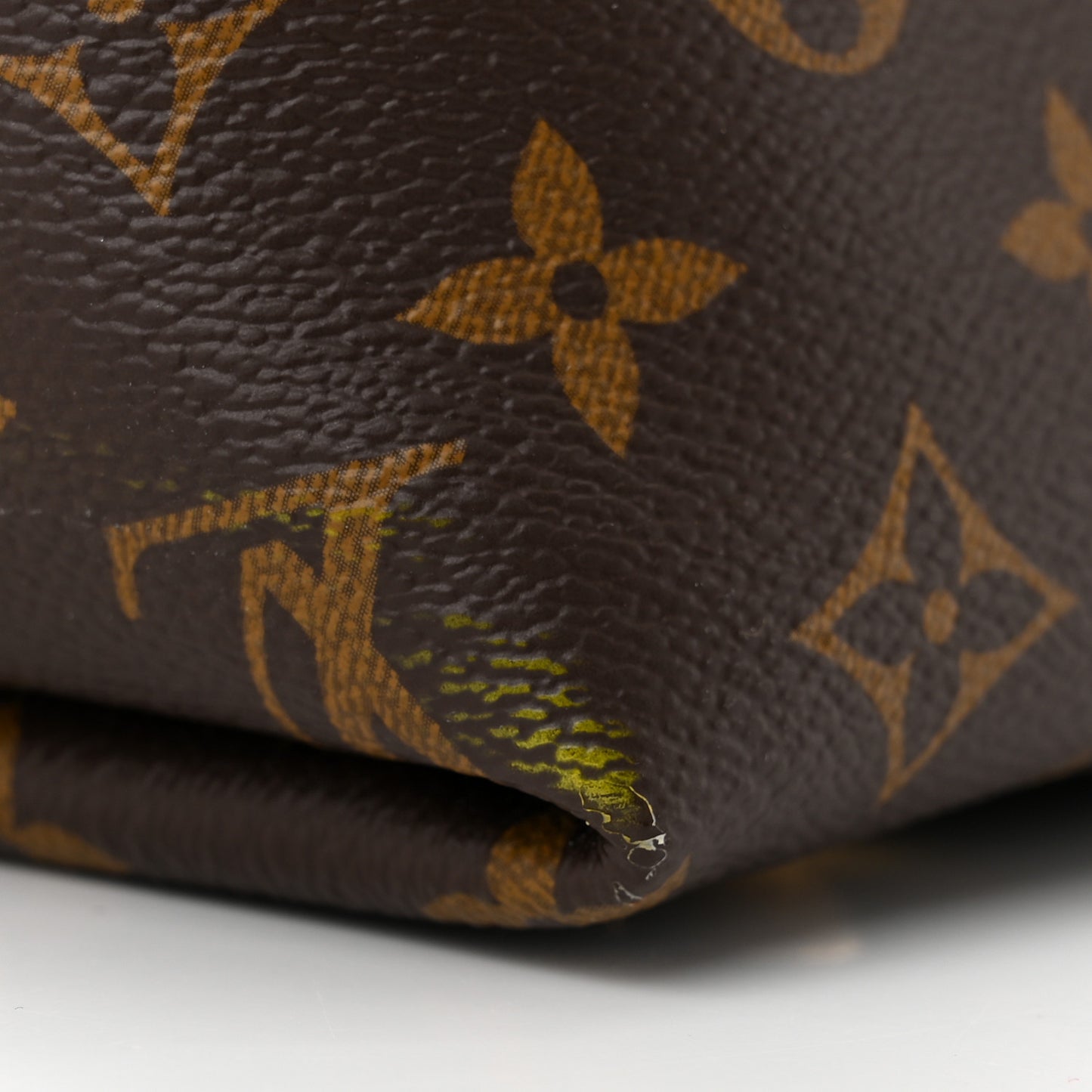 Monogram CarryAll PM