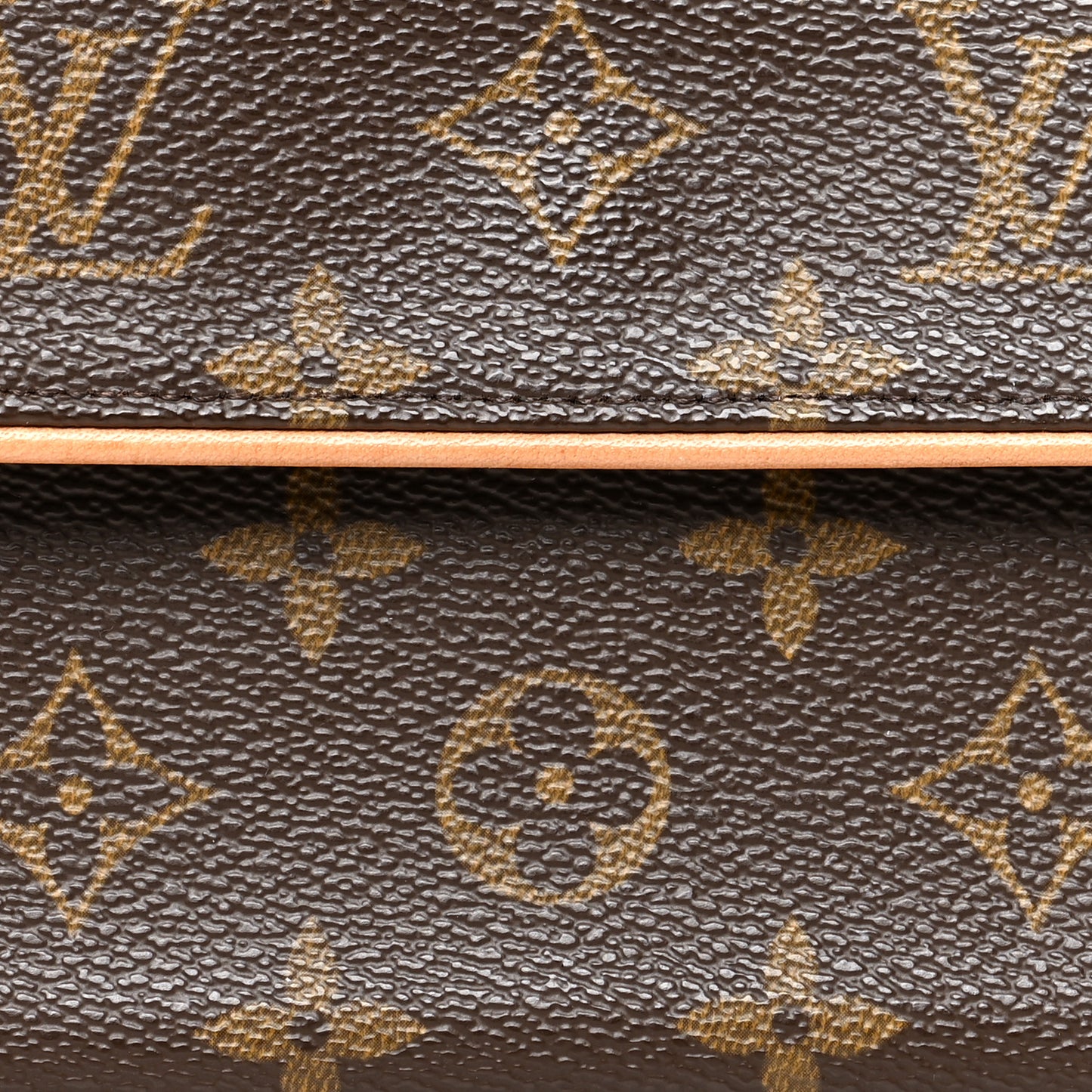 Monogram Pochette Florentine M